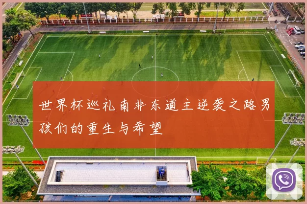 世界杯巡礼南非东道主逆袭之路男孩们的重生与希望