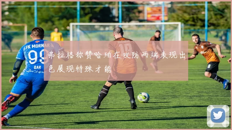 弗拉格称赞哈珀在攻防两端表现出色展现特殊才能