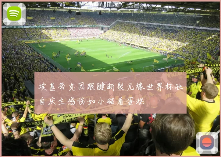 埃基蒂克因跟腱断裂无缘世界杯独自庆生感伤如小猫看蛋糕