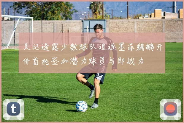 美记透露少数球队追逐墨菲鹈鹕开价首轮签加潜力球员与即战力