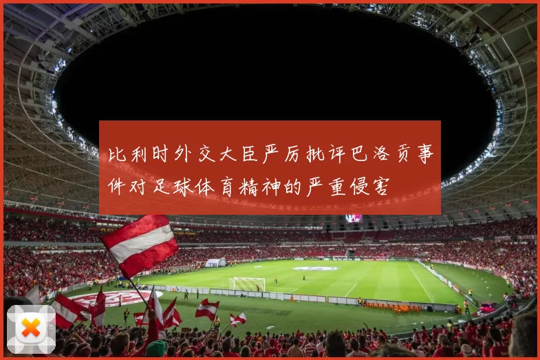 比利时外交大臣严厉批评巴洛贡事件对足球体育精神的严重侵害